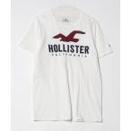 「Hollister」 刺繍半袖Tシャツ L ホワイト メンズ