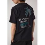 tシャツ ベア天竺バック刺繍TEE メンズ