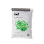  ваза evo....... стать земля 2L