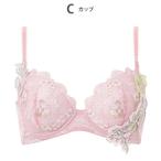ブラジャー 「後ろ姿きれいブラ」
