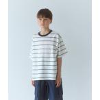 tシャツ ボーダー Tシャツ / キッズ 140cm-160cm キッズ 子供服 男の子 女の子