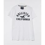 「Hollister」 半袖Tシャツ M ホワイト メンズ