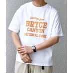 tシャツ SHIPS any: NATIONAL PARK ヴィンテージライク プリント Tシャツ メンズ