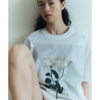 tシャツ フラワープリントTシャツ レディース メンズ