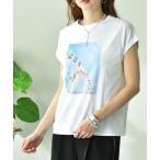 tシャツ 「Ｄｉｇｎｉｔｅ　ｃｏｌ�