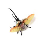  игрушка 4D MASTER / INSECT ANATOMY