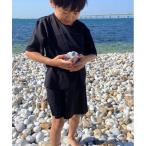 水着 ラッシュガード セットアップ キッズ 子供 男の子 女の子