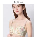 ブラジャー 「後ろ姿きれいブラ」