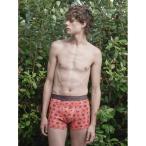 インテリア 「L.Rix Fantasy