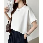 tシャツ サマ見えシルエットに ドルマンスリーブ Tシャツ 半袖 カットソー ドルマン トップス 夏服 レディース
