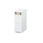 ゴミ箱 ダストボックス like-it 分別スイングステーション２段 ステンレス