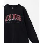 tシャツ T-GRAPHICS ビッグロゴプリント長袖Ｔシャツ メンズ レディース