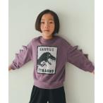 ショッピング恐竜 トレーナー  nicohrat/ニコフラート 恐竜トゲトゲ　トレーナー キッズ 子供服 男の子