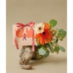 bo диск Rav jo Van nigiovanni /bo диск Rav mini-twin HA