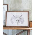 ポスター ART FRAME TRICERATOPS/壁掛け アート フレーム