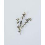 ショッピングコサージュ ブローチ パーチモチーフブローチ レディース