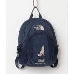 [THE NORTH FACE] [KIDS] рюкзак - голубой Kids 