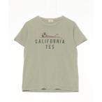 [The Endless Summer] короткий рукав футболка S зеленый мужской 