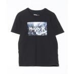 「Hurley 」 半袖Tシャツ S ブラック メンズ