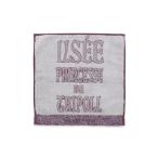 ショッピングハンカチ ハンカチ 「MUCHA」トリポリの姫君イルゼハンドタオル レディース