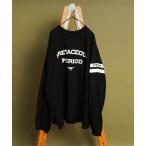 tシャツ 「リンク」福井県立恐竜博物館コラボ ナンバーロンT(大人) メンズ レディース