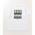 「green label relaxing」 半