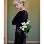 パーティードレス ドレス Ribbon embroidered velour dress ＆ tippet