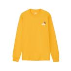 tシャツ THE NORTH FACE L/S ZOO PICKER TEE（ザ・ノース・フェイス ロングスリーブズーピッカーティー） メンズ