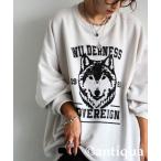 トレーナー スウェット アニマル カレッジロゴ 裏毛トレーナー レディース メンズ