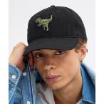 キャップ 帽子 レキシー パッチ ベースボール ハット レディース メンズ