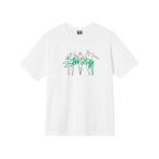ショッピングstussy 「STUSSY」 半袖Tシャツ MEDIUM ホワイト メンズ