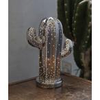 照明 PORCELAIN CACTUS LIGHT CHROME/卓上ランプ カクタス