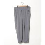 [THE NORTH FACE] легкий брюки LARGE серый женский 