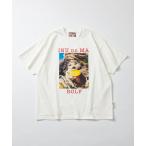 tシャツ ロルフくん プリント クルーネックTシャツ「クリエイターズ・ファイル」 メンズ レディース