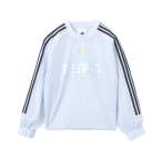  джерси adidas TEAMGEIST 2.0 SWEATSHIRT / Adidas Teamgeist 2.0 спортивная фуфайка женский 