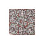  носовой платок Holliday & Brown / шелк peiz Lee рисунок chief мужской 