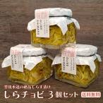 調味料 しらす アンチョビ オリーブオイル 3個 セット 愛媛 豊後水道 今市水産 直送 漬け 一汁一菜