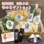 【4/26 11:59まで 早割10％OFF！】超早割 早割 母の日 漬物 漬け物 夫婦箸セット 送料無料 母の日カード ギフト 国産 つけもの 浅漬け お漬物