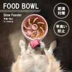 犬 早食い防止 フードボウル 食器 猫 選べる2サイズ S M 滑り止め付き ペット 餌入れ ペットボウル 皿 小型犬 中型犬 ペット食器 早食い