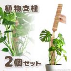 ショッピング観葉植物 植物 支柱 30cm 2本セット ココナッツ 繊維 つる性植物 観葉植物 鉢植え モンステラ ポトス 支柱 ツタ アイビー つるバラ 光合成 剪定 園芸 ガーデニング