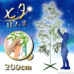  7 ..2m подставка имеется .... 7 . бамбук .. дерево очень большой bamboo tree пластик человеческий труд .. украшение школа украшение дисплей юката постановка Event 