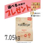 ブラックウッド3000ドッグフード...