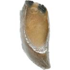 牛のヒヅメ ナチュラ�