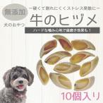 牛のヒヅメ ナチュラル【１０個セット】個別包装無し 天然素材 無添加 ひづめ 犬用