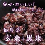 無農薬玄米5kg+無農薬黒米300gセット（東北〜関東まで送料無料）