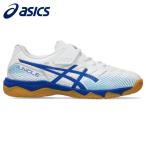 アシックス asics サッカー トレーニングシューズ ジュニア キッズ JUNIOLE 7 IN 1104A055-100 インドア用