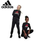 アディダス adidas ジュニア スポーツウエアー 上下セット U ESS BL トラックスーツ IB4095