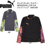  Puma PUMA Junior футбол футзал джерси тренировка верх INDIVIDUAL CUP 1/4 Zip верх 660189