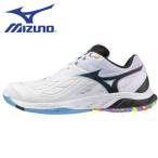 ミズノ MIZUNO バドミントンシューズ メンズ レディース ウエーブファング2 FIT 71GA231245
