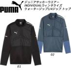  Puma PUMA Junior футбол футзал wear INDIVIDUAL wing треска iz заднее крыло Zip 1/4 Zip верх 659847